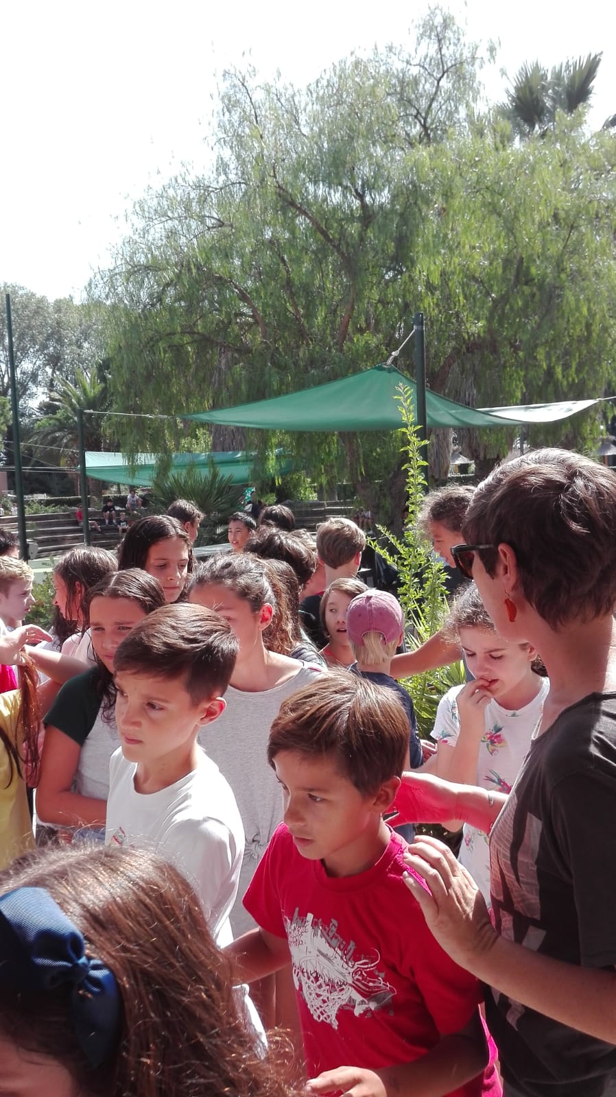 St Cyprien 6eme1 6eme2 6eme3 6eme7 6eme8 Lycee Francais De Barcelone