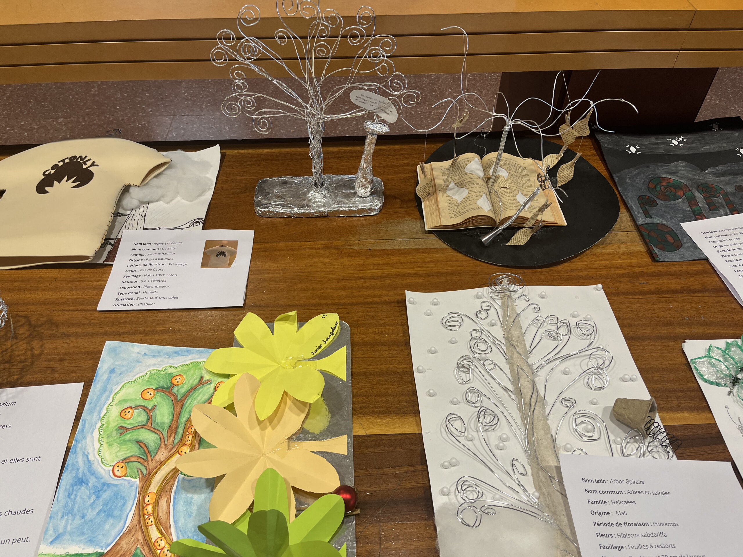 Exposition des classes de 3ème - Lycée Français de Barcelone